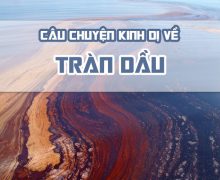 TRÀN DẦU