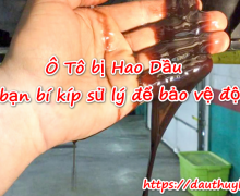 Ô Tô bị Hao Dầu mách bạn bí kíp sử lý để bảo vệ động cơ